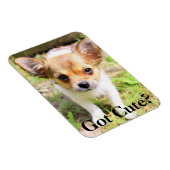 可愛得い？子犬 マグネット (右側)