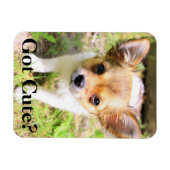 可愛得い？子犬 マグネット (横)