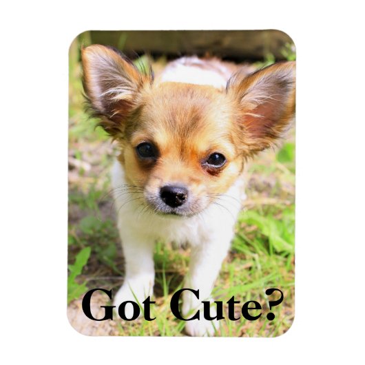 可愛得い？子犬 マグネット (縦)