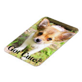 可愛得い？子犬 マグネット (左側)