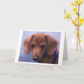 可愛性過多 カード (黄色い花)