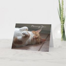 可愛恋しく思い猫の眠りカード カード