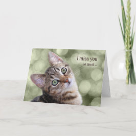 可愛恋しく思い虎猫子猫を買えないくらい カード