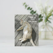 可愛感じい猫が元気に休めカスタムる ポストカード (スタンド正面)