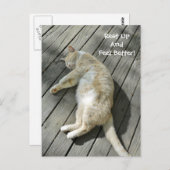 可愛感じい猫が元気に休めカスタムる ポストカード (正面/裏面)