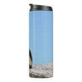 可愛独身のいペンギンとブルースカイ タンブラー (回転右)