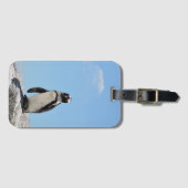 可愛独身のいペンギンとブルースカイ ラゲッジタグ (正面横)