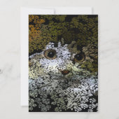 可愛絵画い猫が葉いる シーズンカード (正面)