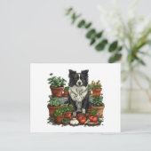 可愛縁どいコリーガーデニング ポストカード (スタンド正面)