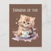 可愛考えいコーヒー猫 ポストカード (正面)