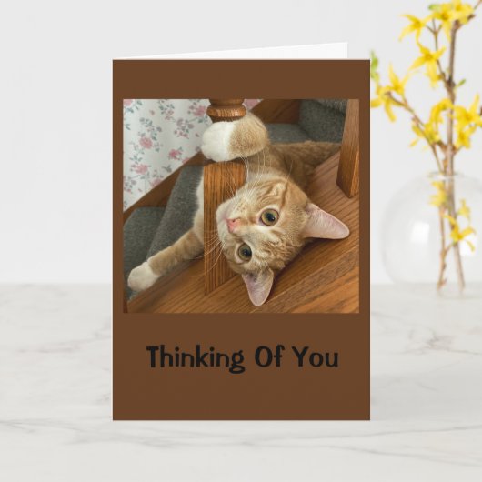 可愛考えい子猫 カード (黄色い花)