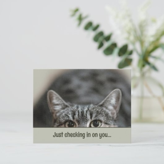 可愛考えい猫標題テンプレートはがき ポストカード (スタンド正面)