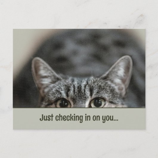 可愛考えい猫標題テンプレートはがき ポストカード (正面)