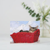 可愛考えい眠る子猫の赤いバスケット ポストカード (スタンド正面)