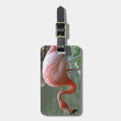 可憐なフラミンゴ ラゲッジタグ (正面縦)