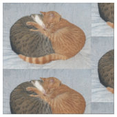 可憐なボール ファブリック (クローズアップ)