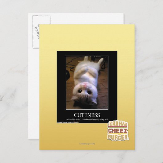 可憐2 ポストカード (正面/裏面)