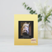 可憐2 ポストカード (スタンド正面)