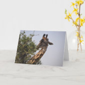 可憐 カード (黄色い花)