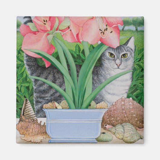 可能性の探索2011 マグネット (正面)