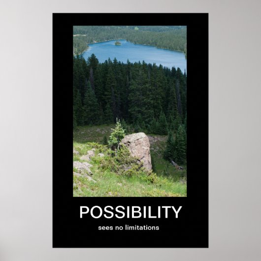 可能性の民主化ポスター ポスター (正面)