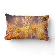 可逆性腰部装飾用クッション