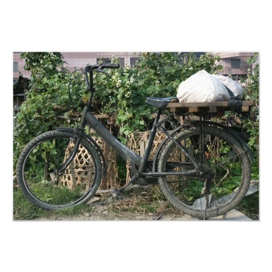 台北庭園の自転車 フォトプリント            (正面)