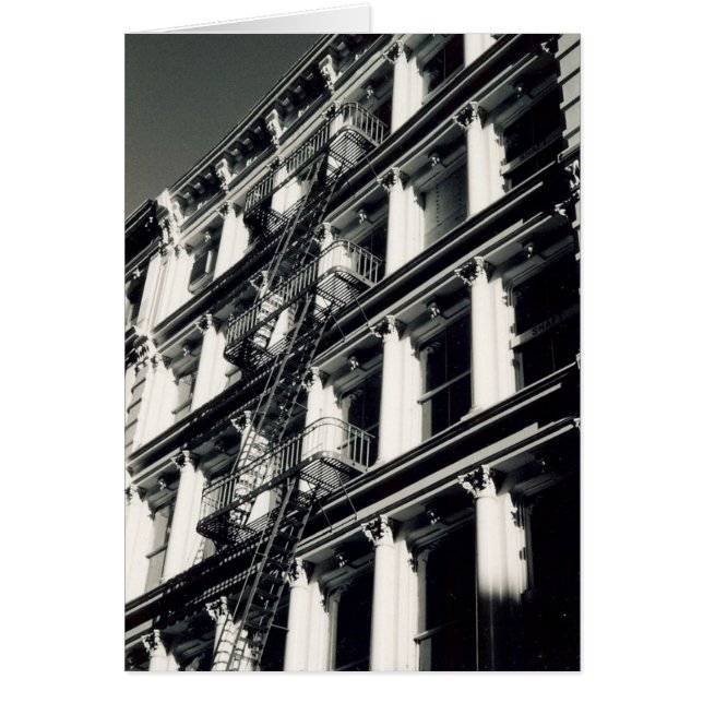 台地階段 (正面)