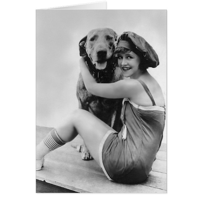 "台形テディ"が付いているElinor分野驚異犬 (正面)