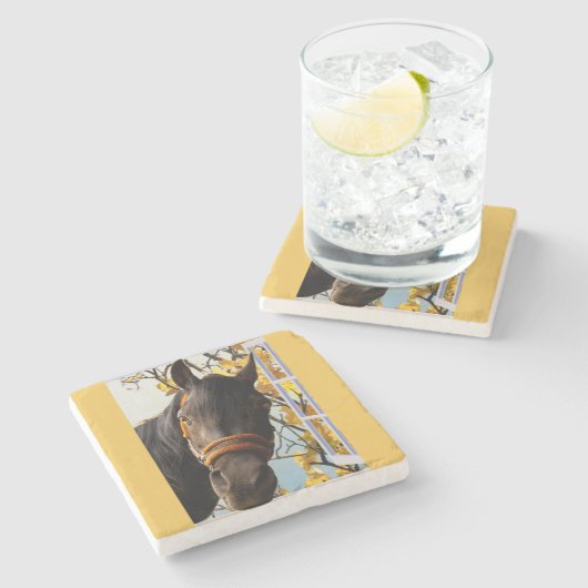 台所の窓から見ている奇妙な馬 ストーンコースター (横)