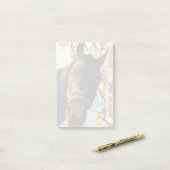 台所の窓から見ている奇妙な馬 ポストイット (デスク上)