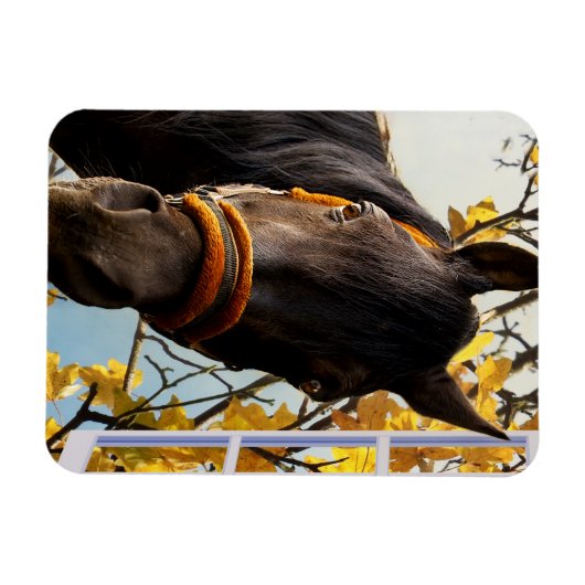 台所の窓から見ている奇妙な馬 マグネット (横)