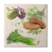 台所セラミックタイル タイル (正面)