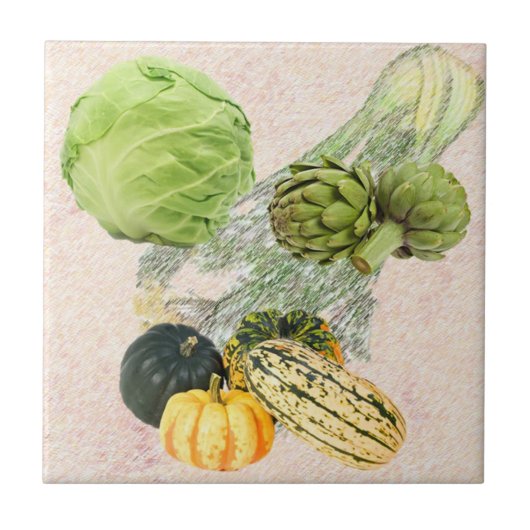 台所セラミックタイル タイル (正面)