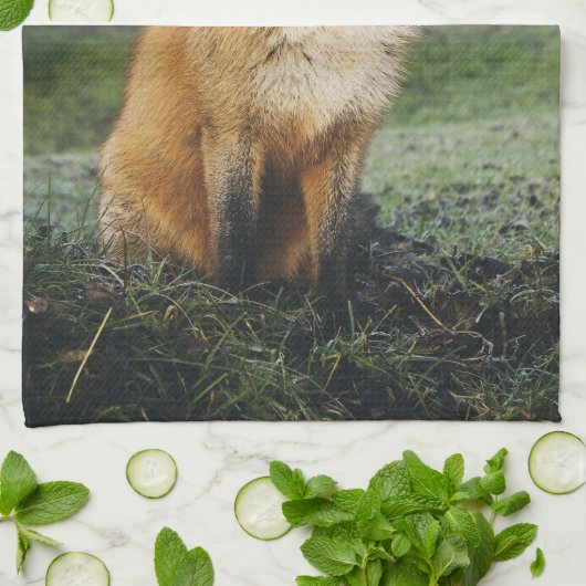 台所タオル、ずるいふきん、孤の幼いこどもの家deを孤色に変色させて下さい キッチンタオル (折り畳み)