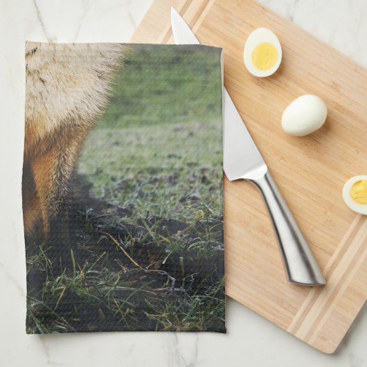 台所タオル、ずるいふきん、孤の幼いこどもの家deを孤色に変色させて下さい キッチンタオル (四つ折り)