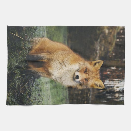 台所タオル、ずるいふきん、孤の幼いこどもの家deを孤色に変色させて下さい キッチンタオル (横)