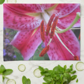 台所タオル--占星家2 キッチンタオル (折り畳み)