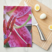 台所タオル--占星家2 キッチンタオル (四つ折り)