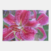 台所タオル--占星家2 キッチンタオル (横)