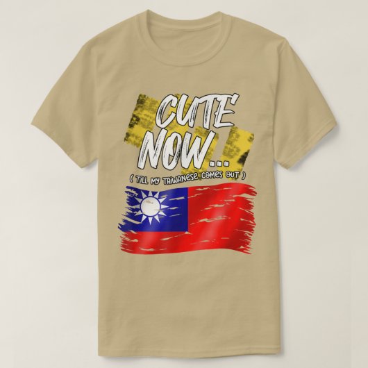 台湾の旗 台湾人 自豪 かわいい 私の台湾人 Tシャツ (デザイン正面)