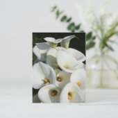 台湾のCala Lily Plantationでユリ ポストカード (スタンド正面)