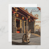 台湾台南寺旅行で猫 ポストカード (正面/裏面)