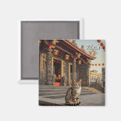 台湾台南寺旅行で猫 マグネット (正面/裏面)