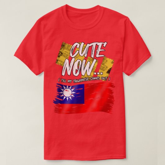 台湾誇りを持った国旗が私の台湾へ Tシャツ (デザイン正面)