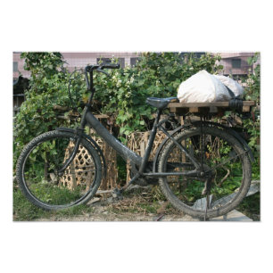 台湾·台北菜園の自転車 フォトプリント           