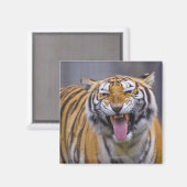 台湾、台北、台北動物園 マグネット (正面/裏面)