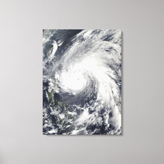 台風すごいメギ キャンバスプリント (正面)