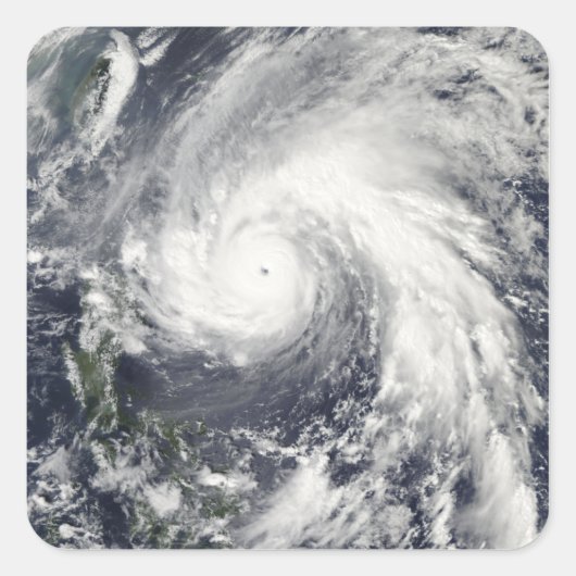 台風すごいメギ スクエアシール (正面)