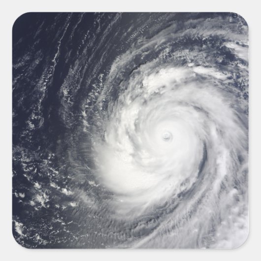 台風すごい崔湾 スクエアシール (正面)